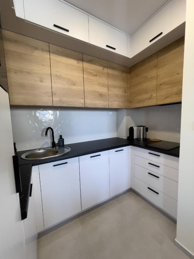 Urban Apartments Premium Baildona 18A, Free Garage, Self Check-In カトヴィツェ エクステリア 写真